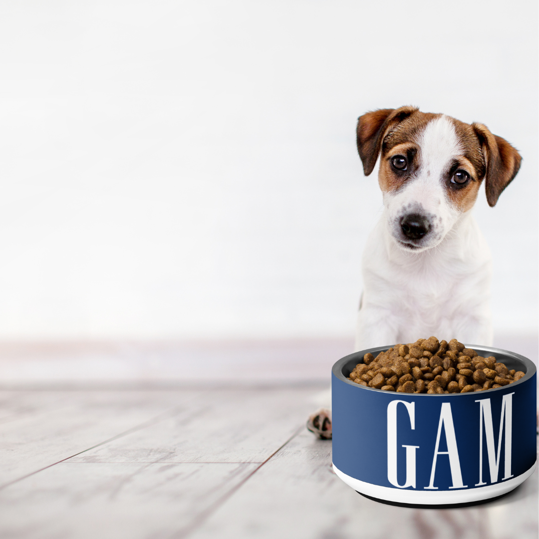 The GAM Pet Bowl