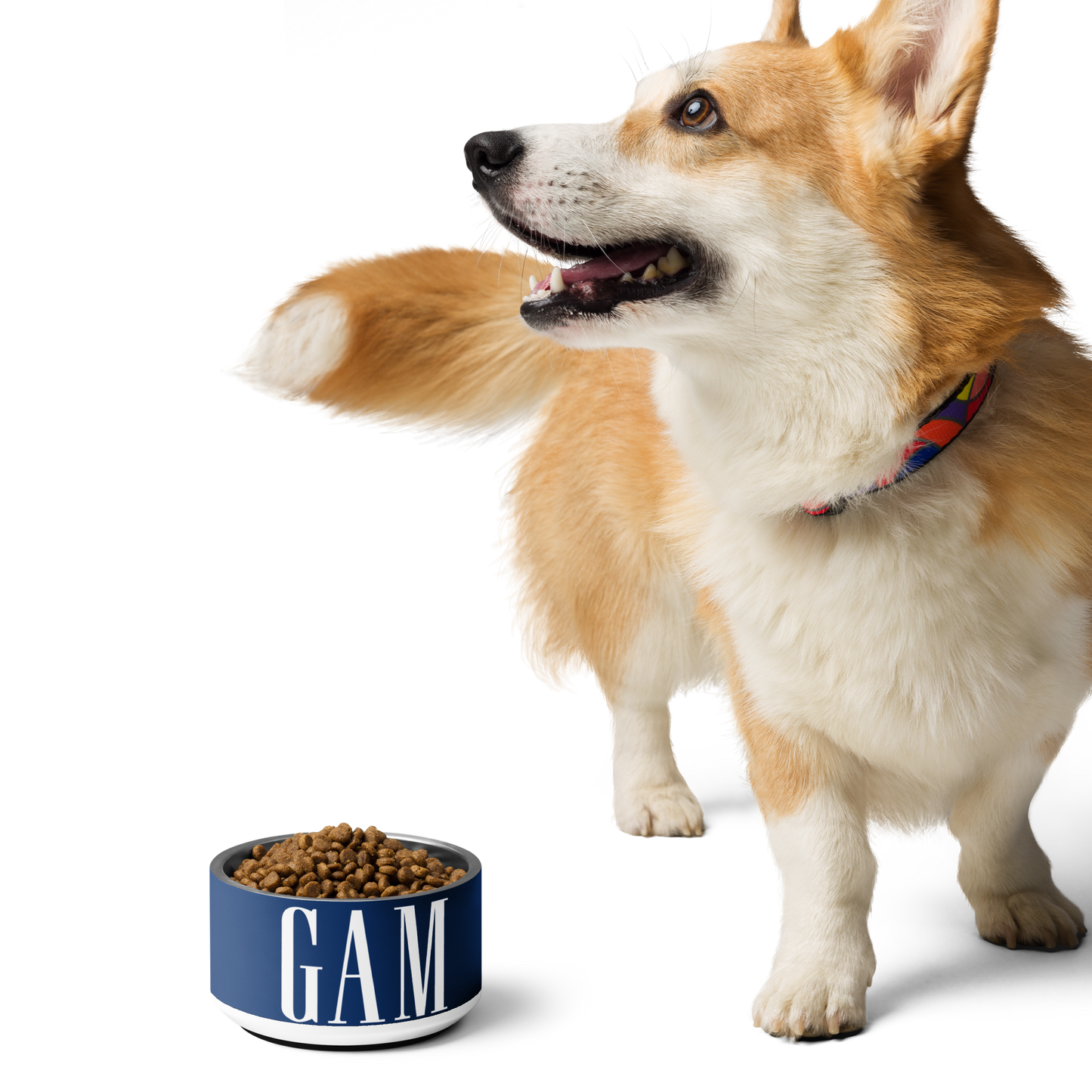 The GAM Pet Bowl