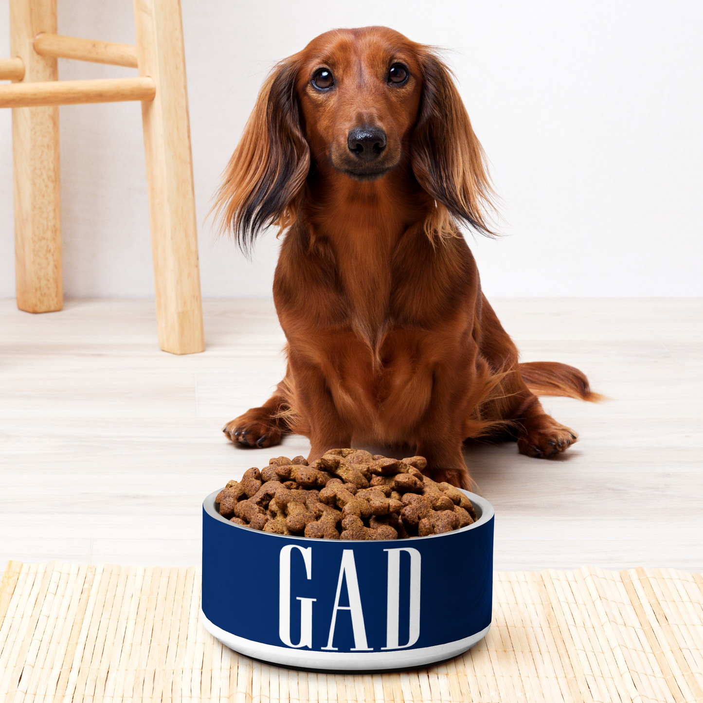 The GAD Pet Bowl