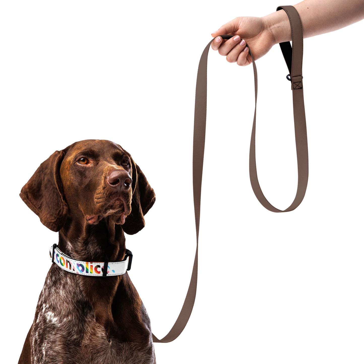 The Accomplice Lesbian dog collar