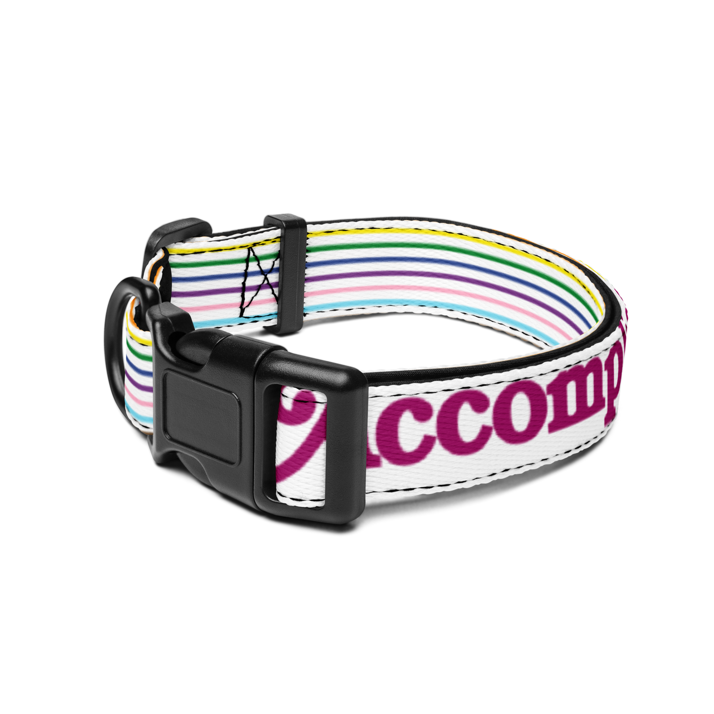 Stripes Accomplice Pet collar